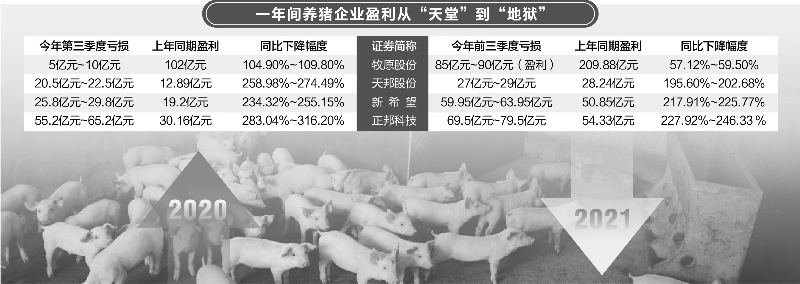 多家猪企三季度严重亏损 猪价拐点何时能至？