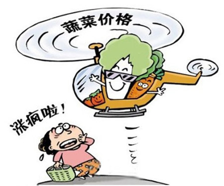 农业农村部回应近期菜价上涨 当前和“两节”期间蔬菜供应总量充足