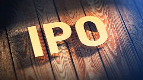 泽润新能IPO | 行业产能过剩，业绩增速大幅下降